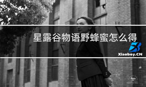 星露谷物语野蜂蜜怎么得