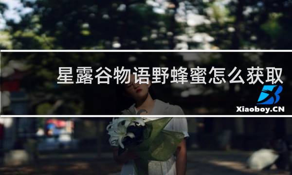 星露谷物语野蜂蜜怎么获取