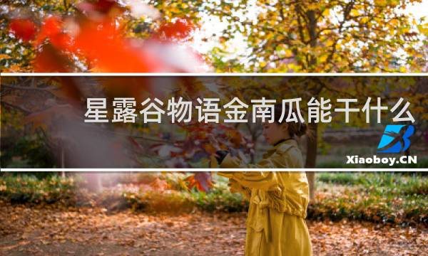 星露谷物语金南瓜能干什么