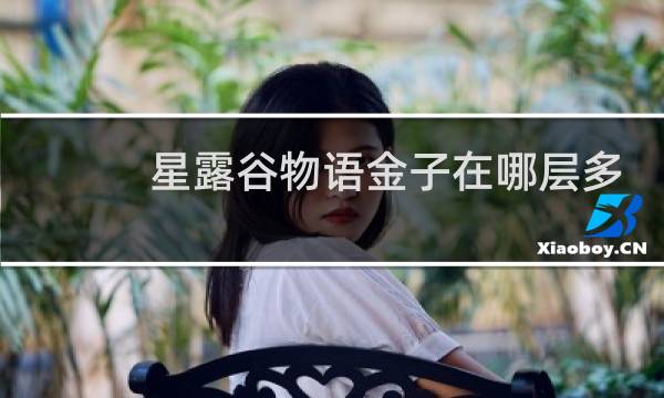 星露谷物语金子在哪层多