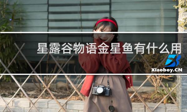 星露谷物语金星鱼有什么用