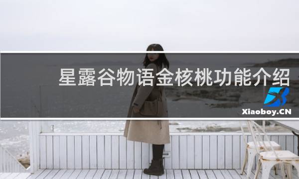 星露谷物语金核桃功能介绍