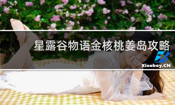 星露谷物语金核桃姜岛攻略