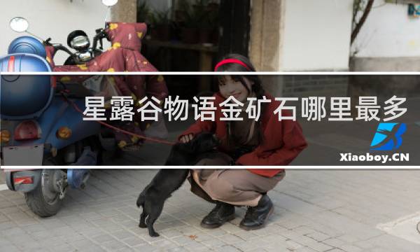星露谷物语金矿石哪里最多
