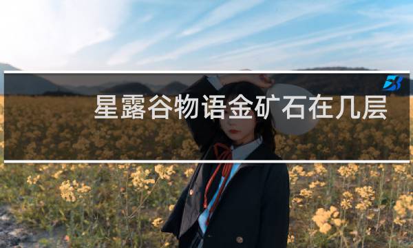 星露谷物语金矿石在几层