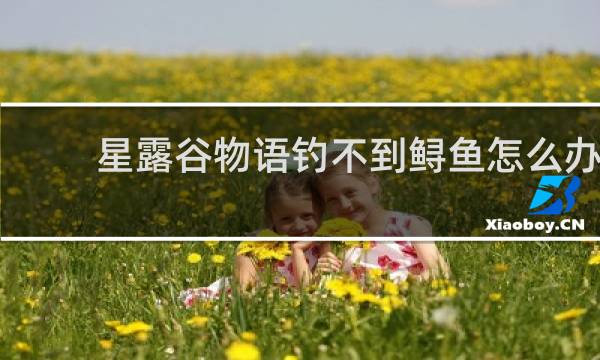 星露谷物语钓不到鲟鱼怎么办
