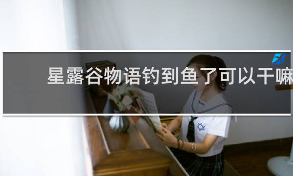 星露谷物语钓到鱼了可以干嘛