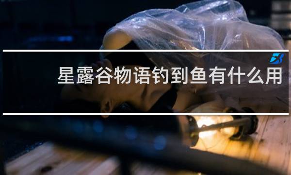 星露谷物语钓到鱼有什么用