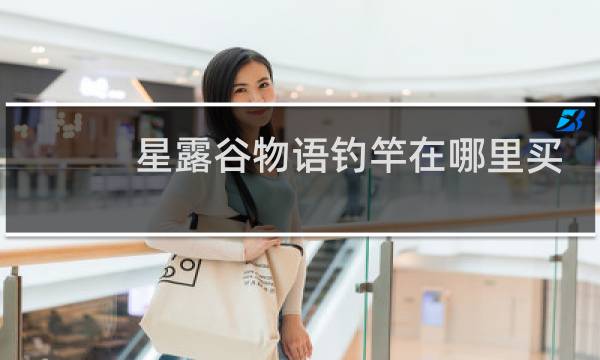 星露谷物语钓竿在哪里买