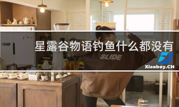 星露谷物语钓鱼什么都没有