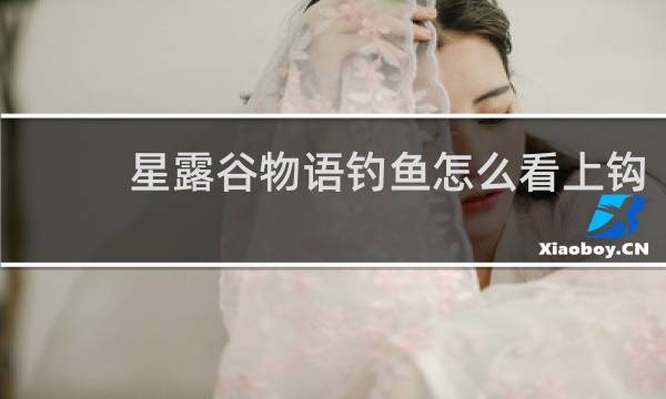 星露谷物语钓鱼怎么看上钩