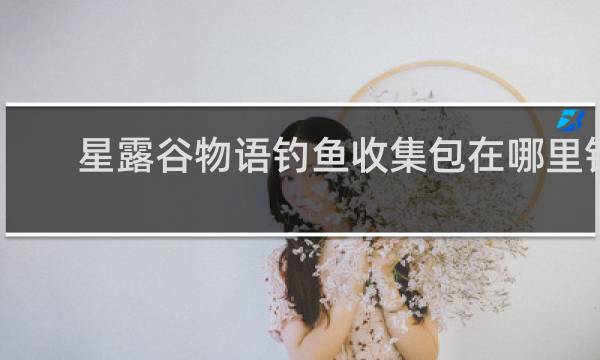 星露谷物语钓鱼收集包在哪里钓