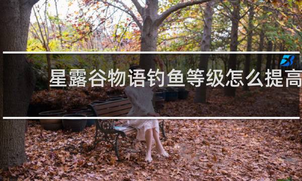 星露谷物语钓鱼等级怎么提高