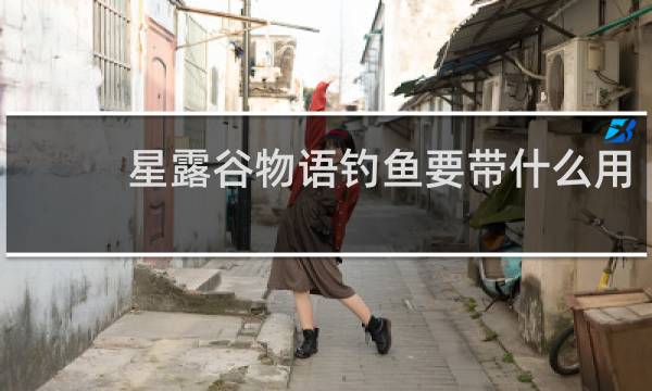 星露谷物语钓鱼要带什么用