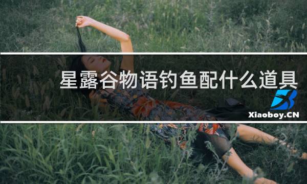 星露谷物语钓鱼配什么道具