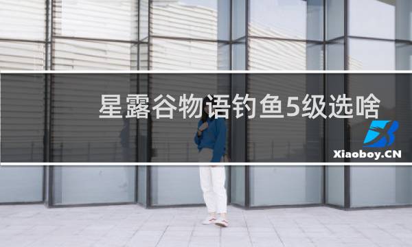 星露谷物语钓鱼5级选啥