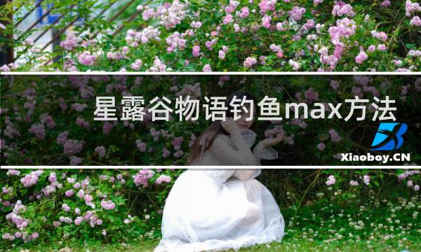 星露谷物语钓鱼max方法