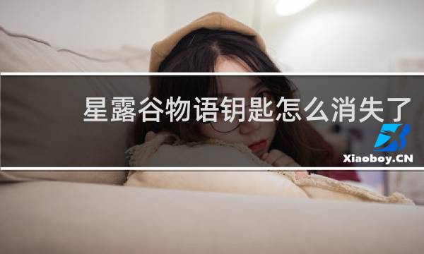 星露谷物语钥匙怎么消失了