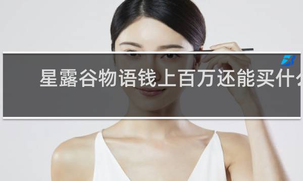 星露谷物语钱上百万还能买什么