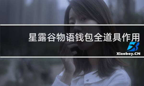 星露谷物语钱包全道具作用