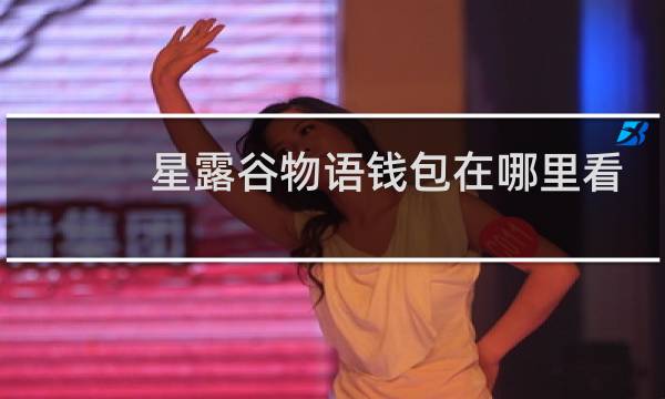 星露谷物语钱包在哪里看