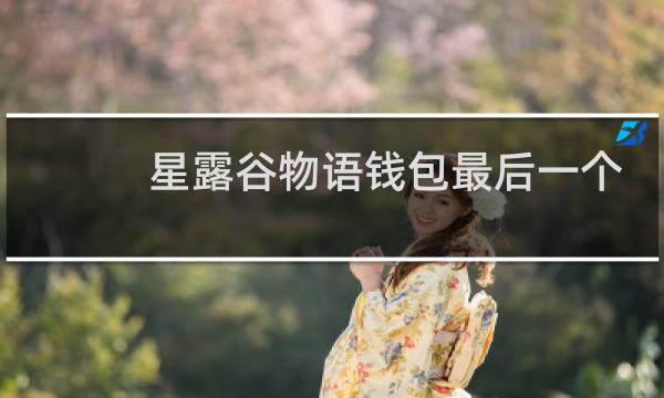星露谷物语钱包最后一个
