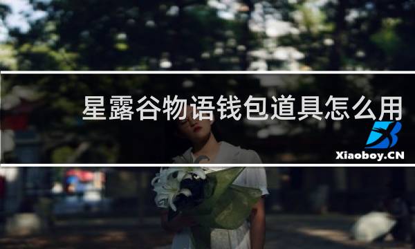 星露谷物语钱包道具怎么用