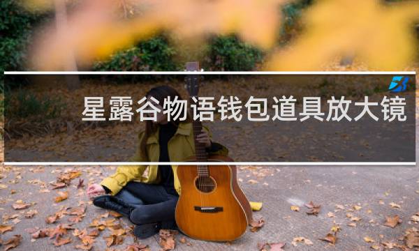 星露谷物语钱包道具放大镜