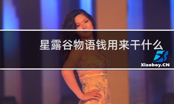 星露谷物语钱用来干什么