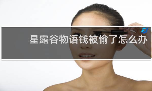 星露谷物语钱被偷了怎么办
