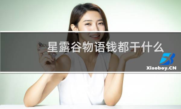 星露谷物语钱都干什么