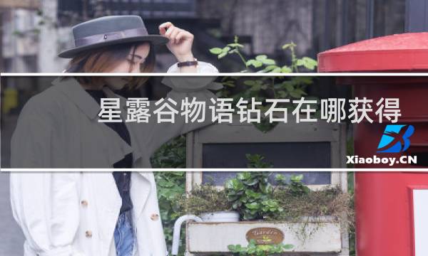 星露谷物语钻石在哪获得