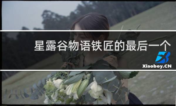 星露谷物语铁匠的最后一个