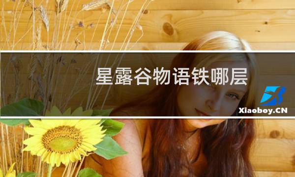 星露谷物语铁哪层