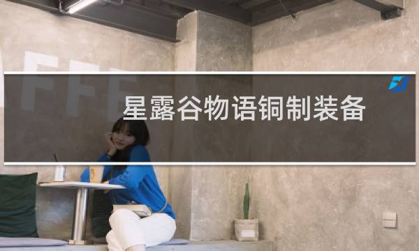 星露谷物语铜制装备