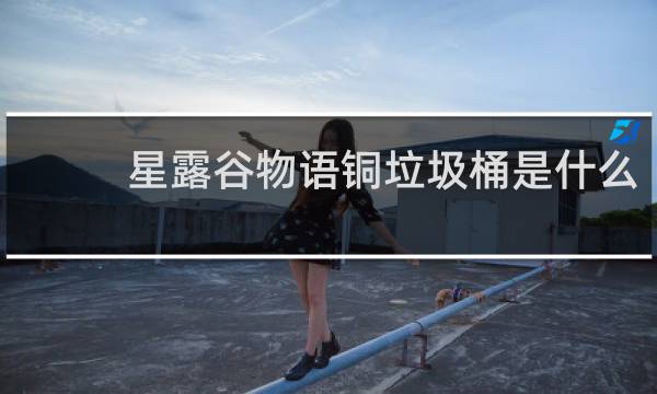 星露谷物语铜垃圾桶是什么