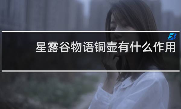 星露谷物语铜壶有什么作用