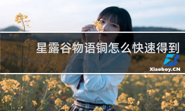 星露谷物语铜怎么快速得到