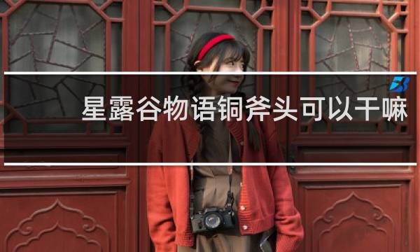 星露谷物语铜斧头可以干嘛