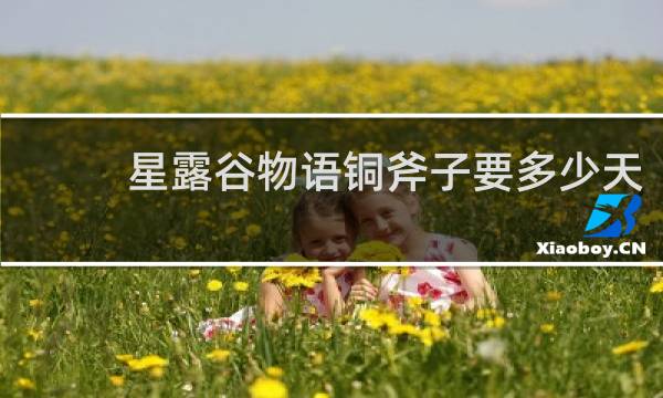 星露谷物语铜斧子要多少天