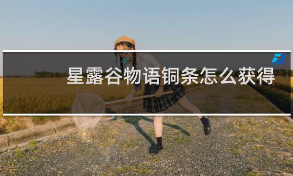 星露谷物语铜条怎么获得