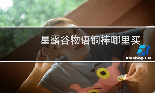 星露谷物语铜棒哪里买