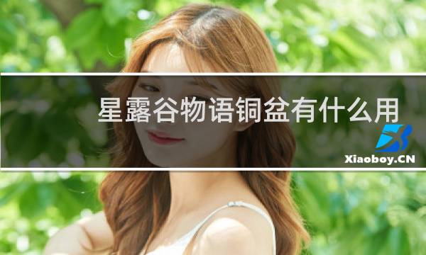 星露谷物语铜盆有什么用