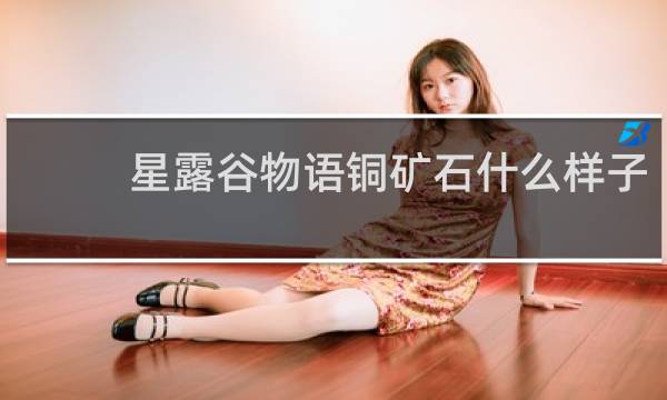 星露谷物语铜矿石什么样子
