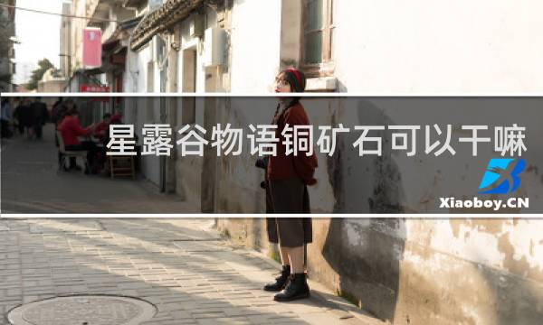 星露谷物语铜矿石可以干嘛