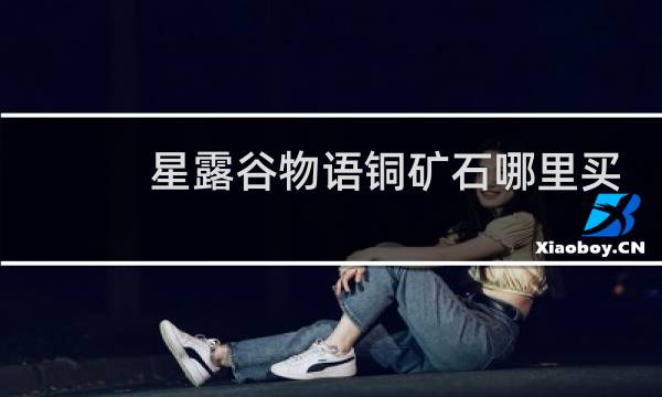 星露谷物语铜矿石哪里买
