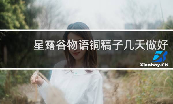 星露谷物语铜稿子几天做好