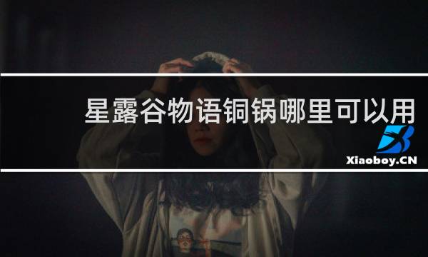 星露谷物语铜锅哪里可以用