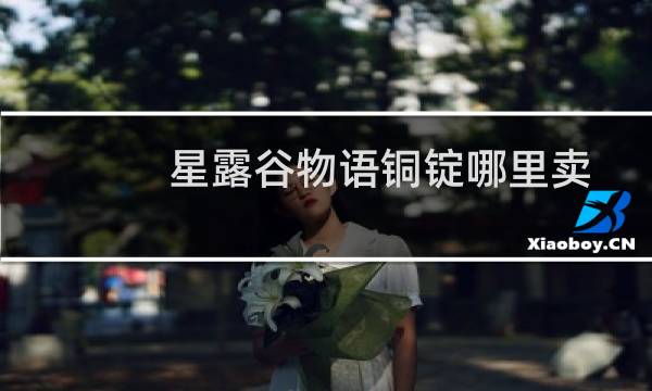 星露谷物语铜锭哪里卖