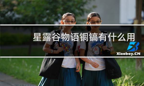 星露谷物语铜镐有什么用